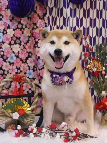 20250114ススムくん